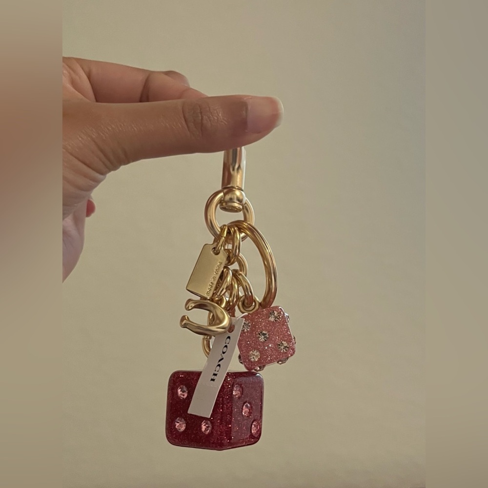 Coach dice cluster bag charm